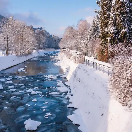 Apartment Haus Engel